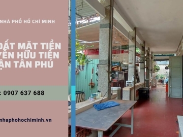 Bán 3000m2 Đất Mặt Tiền Nguyễn Hữu Tiến Tân Phú, Full thổ cư