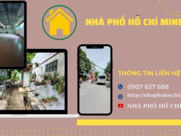Bán 3000m2 Đất Mặt Tiền Nguyễn Hữu Tiến Tân Phú, Full thổ cư