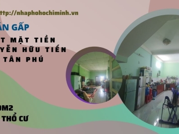 Bán 3000m2 Đất Mặt Tiền Nguyễn Hữu Tiến Tân Phú, Full thổ cư