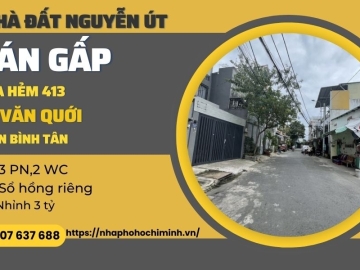 Bán Gấp Nhà Hẻm 413 Lê Văn Quới Bình Tân 42m2, 3 Phòng Ngủ, Sổ đẹp