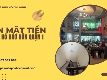 Bán Gấp Nhà Mặt Tiền Hồ Hảo Hớn Quận 1 6 Tầng, 9 Phòng Ngủ 