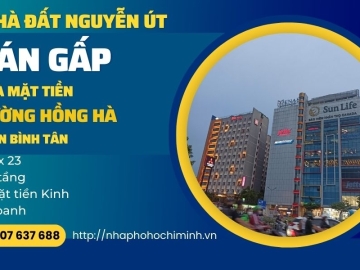 Bán Gấp Nhà Mặt Tiền Hồng Hà Tân Bình 160m2, Kinh Doanh Đỉnh
