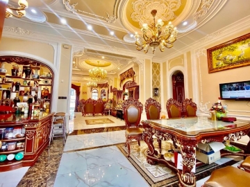 Bán Nhà Biệt Thự CMT8 Tân Bình, 260m2, 5 Lầu Đẳng Cấp, Nội Thất Cao Cấp