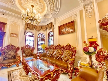 Bán Nhà Biệt Thự CMT8 Tân Bình, 260m2, 5 Lầu Đẳng Cấp, Nội Thất Cao Cấp
