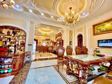 Bán Nhà Biệt Thự CMT8 Tân Bình, 260m2, 5 Lầu Đẳng Cấp, Nội Thất Cao Cấp