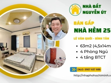 Bán Nhà Hẻm 255 Lê Văn Quới Bình Tân Tiện Kinh Doanh,4 Lầu BTCT Nhỉnh 5 tỷ