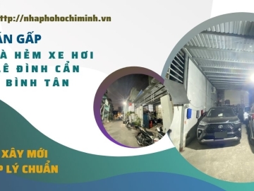 Bán Nhà Hẻm 270 Lê Đình Cẩn Bình Tân 68m2, Tiện Xây Mới