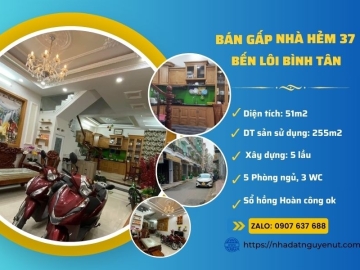 Bán Nhà Hẻm 37 Bến Lội Bình Tân, Nhà Đẹp 5 Tầng Hoàn Công Đủ
