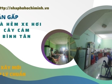 Bán Nhà Hẻm 79 Cây Cám Bình Tân Bình Tân, Công Nhận Đủ 72m2, Giá Rẻ Bán Nhà Hẻm 79 Cây Cám Bình Tân Bình Tân, Công Nhận Đủ 72m2, Giá Rẻ