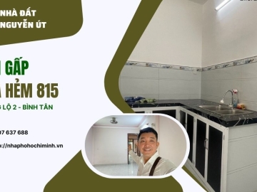 Bán Nhà Hẻm 815 Hương Lộ 2 Bình Tân, 52m2,Sổ Hồng Riêng, Không Bị Quy Hoạch nhỉnh 4 tỷ