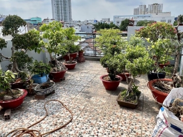 Bán Nhà Mặt Tiền Nguyễn Minh Châu Tân Phú, 78m2, 6 Tầng BTCT, 7 P.Ngủ Chỉ 8 Tỷ TL