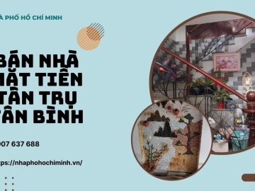 Bán Nhà Mặt Tiền Tân Trụ Tân Bình, 61m2, 5 Tầng, Nhỉnh 7 Tỷ 