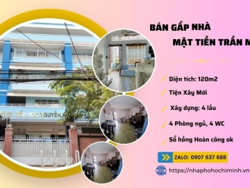 Bán Nhà Mặt Tiền Trần Mai Ninh Tân Bình, 4 Lầu, Tiện Xây Mới, Vị Trí Kinh Doanh