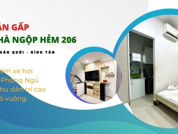 Bán Nhà Ngộp Hẻm 206 Lê Văn Quới Bình Tân 62m2,Sổ Hồng Riêng Nhỉnh 5 tỷ