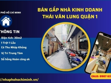 Định Cư Bán Nhà Đường Thái Văn Lung Quận 1, Sẵn Dòng Tiền Thu Nhập Lớn Định Cư Bán Nhà Đường Thái Văn Lung Quận 1, Sẵn Dòng Tiền Thu Nhập Lớn