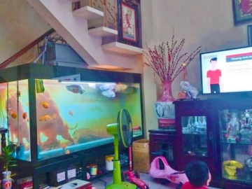 Nhà Hẻm Xe Hơi Đường Ba Tháng Hai, Gần Vạn Hạnh Mall, Giá Rẻ